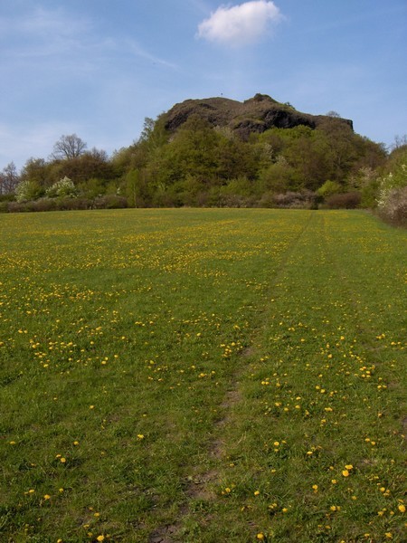 lys hora