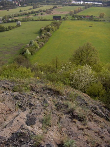 lys hora